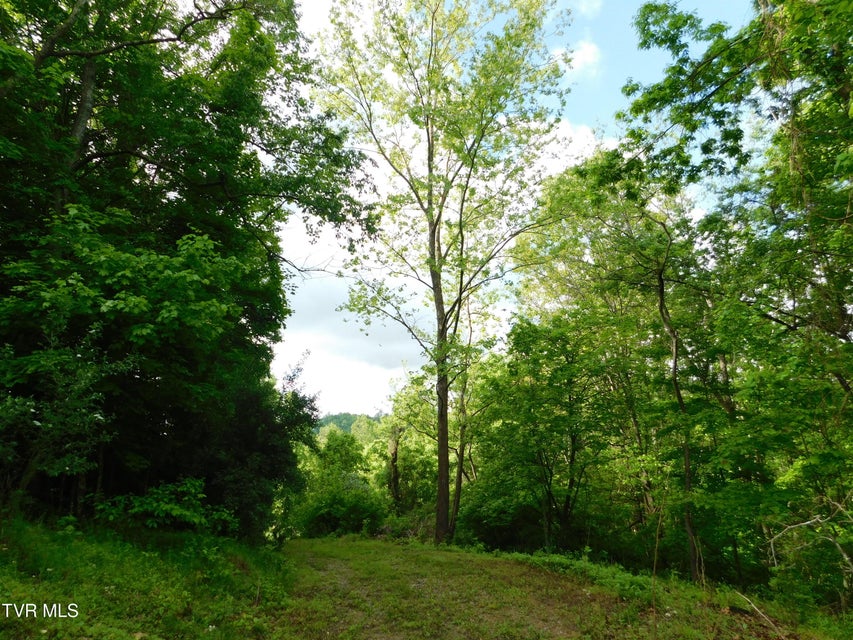 Photo #40: 4314 Big Hill Road