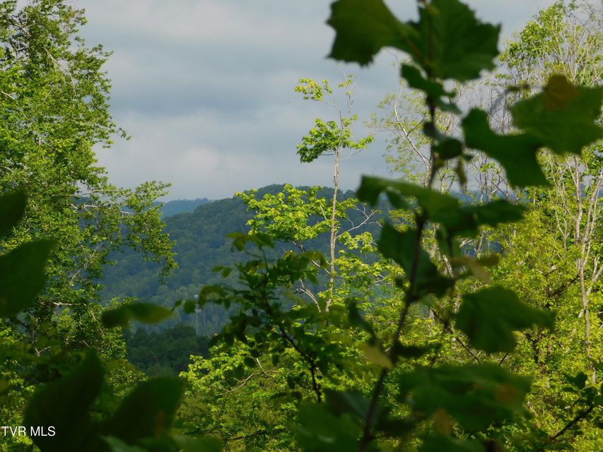 Photo #43: 4314 Big Hill Road