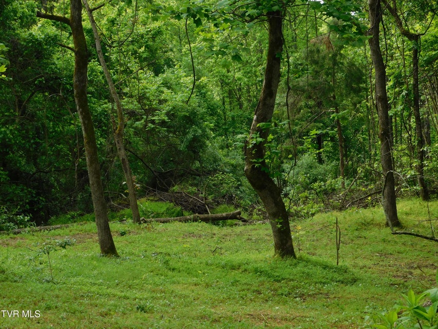 Photo #45: 4314 Big Hill Road