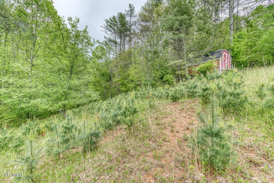 Photo #39: 953 Hubert Taylor Road