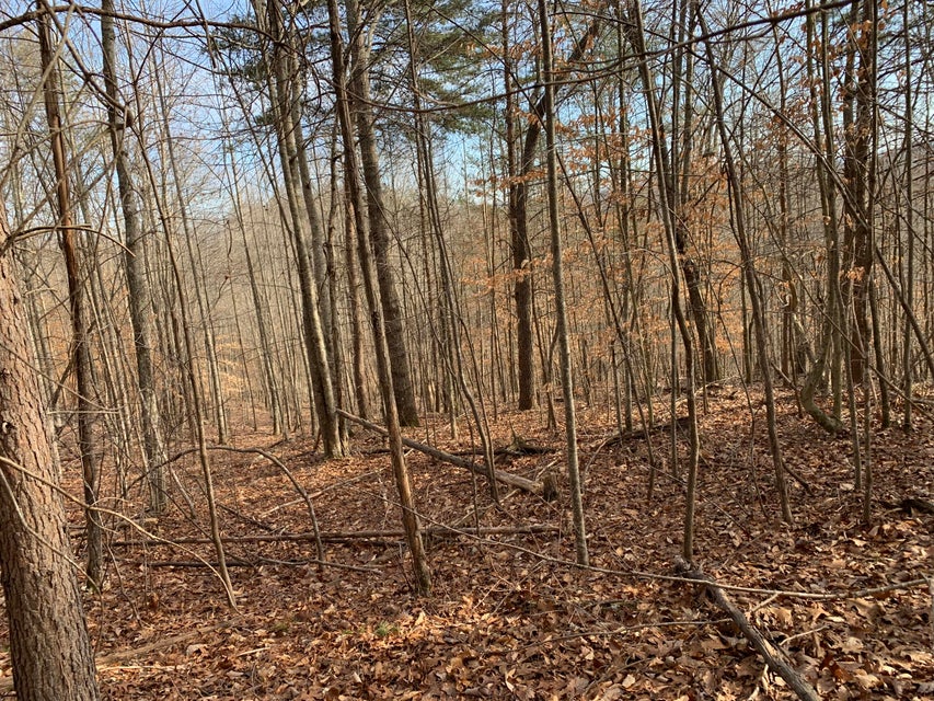Photo #2: Lot 161 Whistle Valley Road