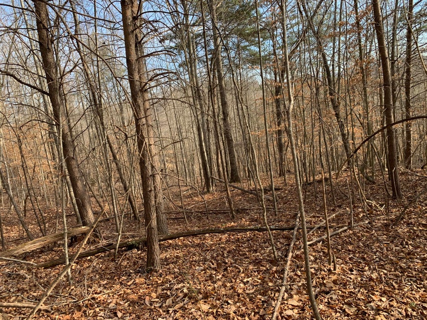 Photo #4: Lot 161 Whistle Valley Road