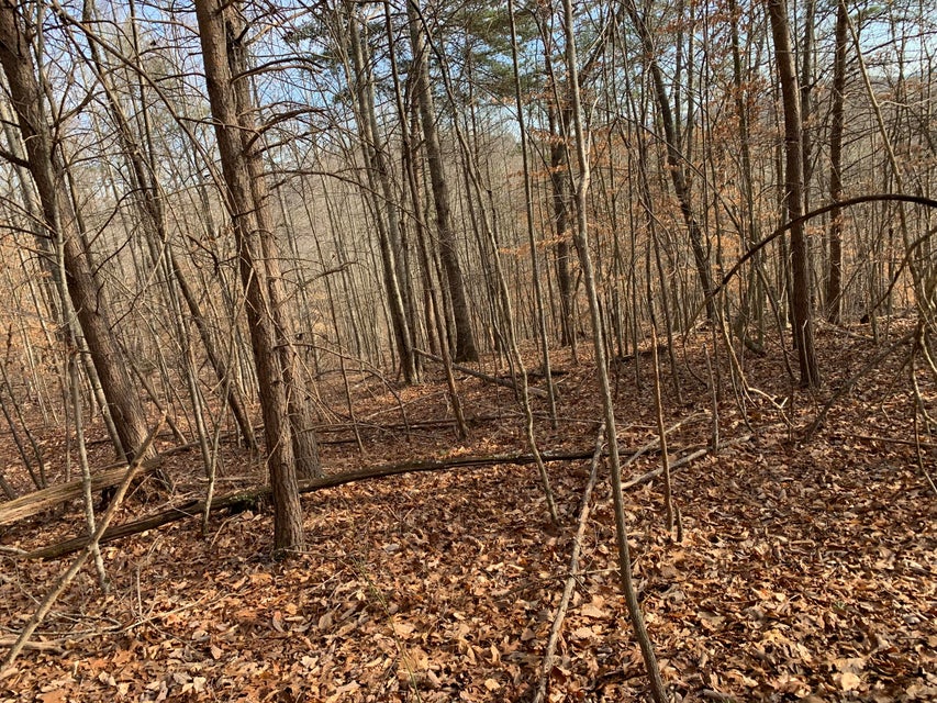 Photo #5: Lot 161 Whistle Valley Road