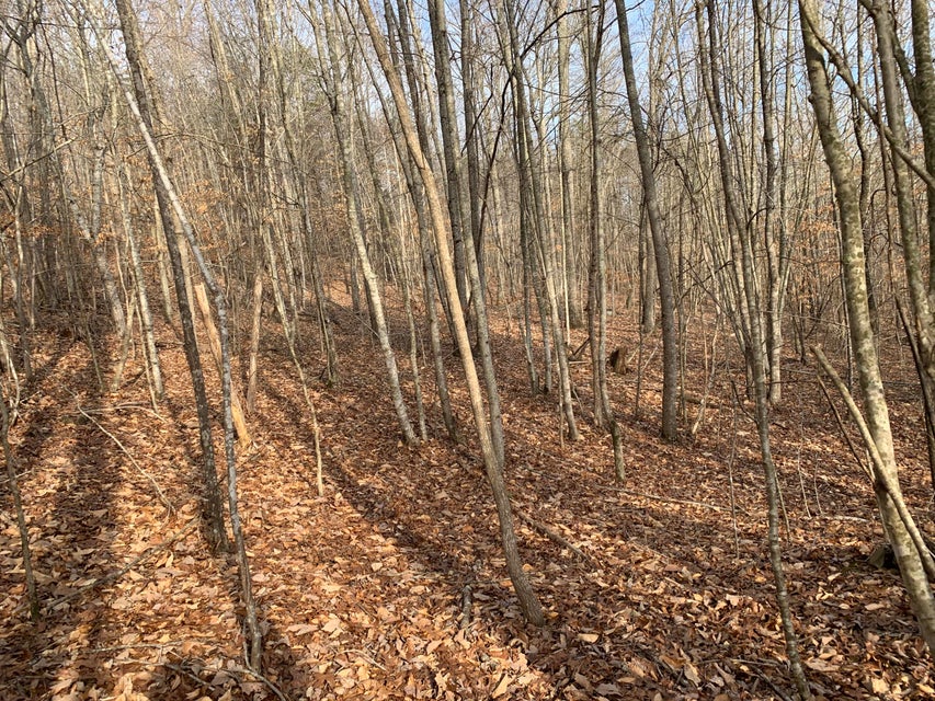 Photo #6: Lot 161 Whistle Valley Road
