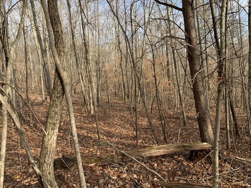 Photo #7: Lot 161 Whistle Valley Road