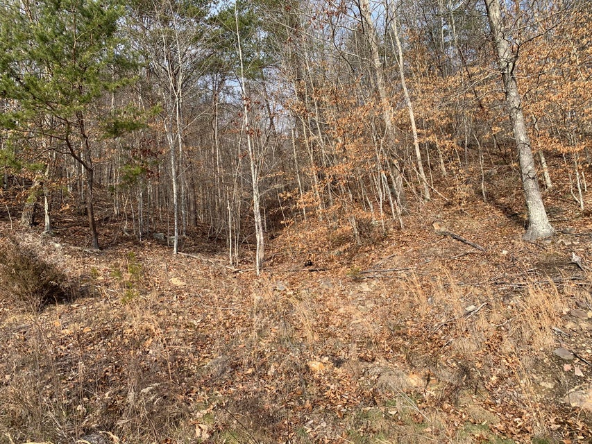 Photo #8: Lot 161 Whistle Valley Road