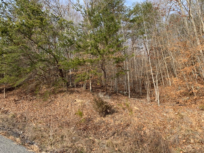 Photo #9: Lot 161 Whistle Valley Road