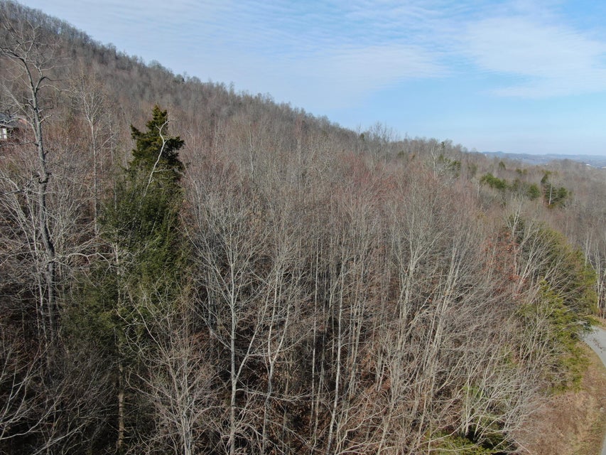 Photo #10: Lot 161 Whistle Valley Road