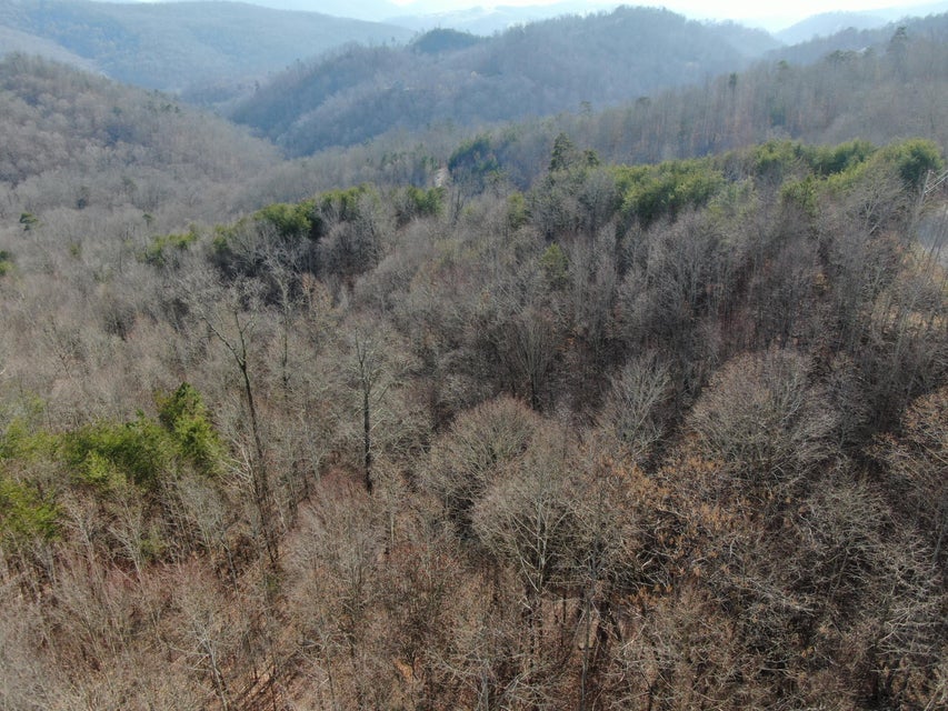 Photo #22: Lot 161 Whistle Valley Road