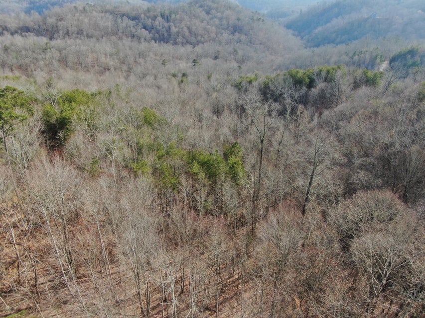 Photo #24: Lot 161 Whistle Valley Road