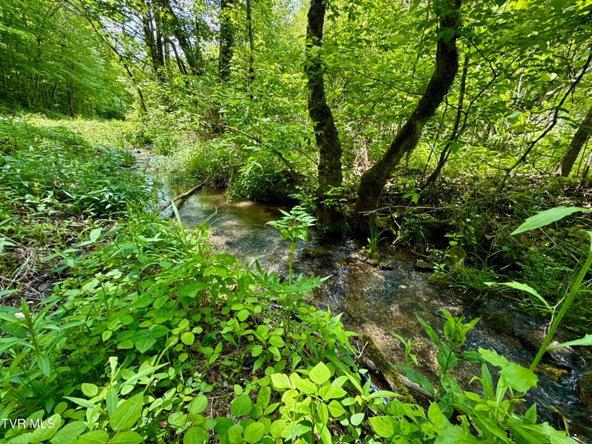 Photo #3: 47/Ac Tbd Enoch Rd