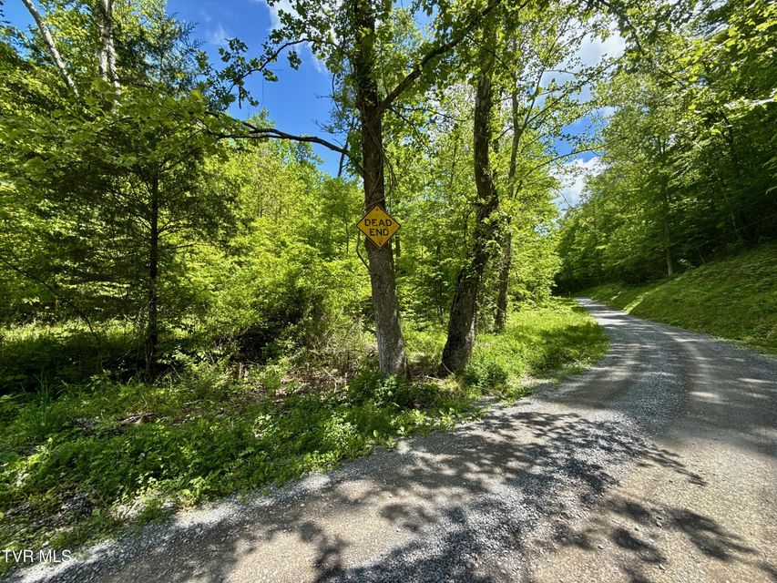 Photo #4: 47/Ac Tbd Enoch Rd