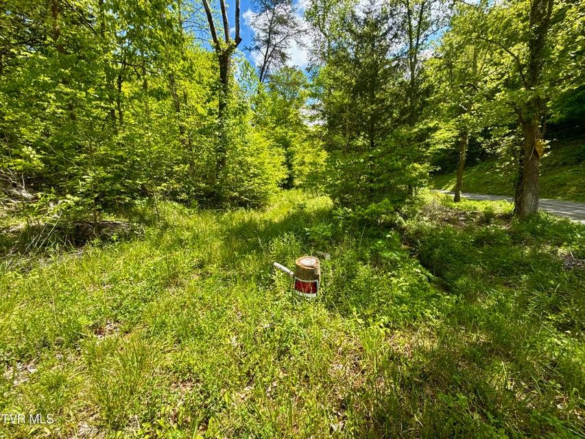 Photo #5: 47/Ac Tbd Enoch Rd