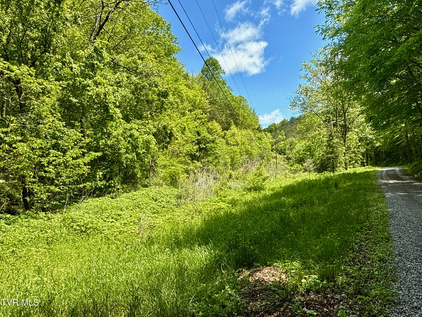 Photo #6: 47/Ac Tbd Enoch Rd