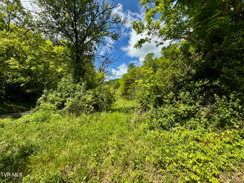 Photo #7: 47/Ac Tbd Enoch Rd