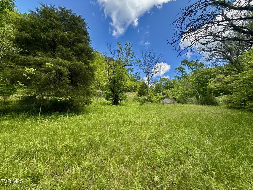 Photo #8: 47/Ac Tbd Enoch Rd