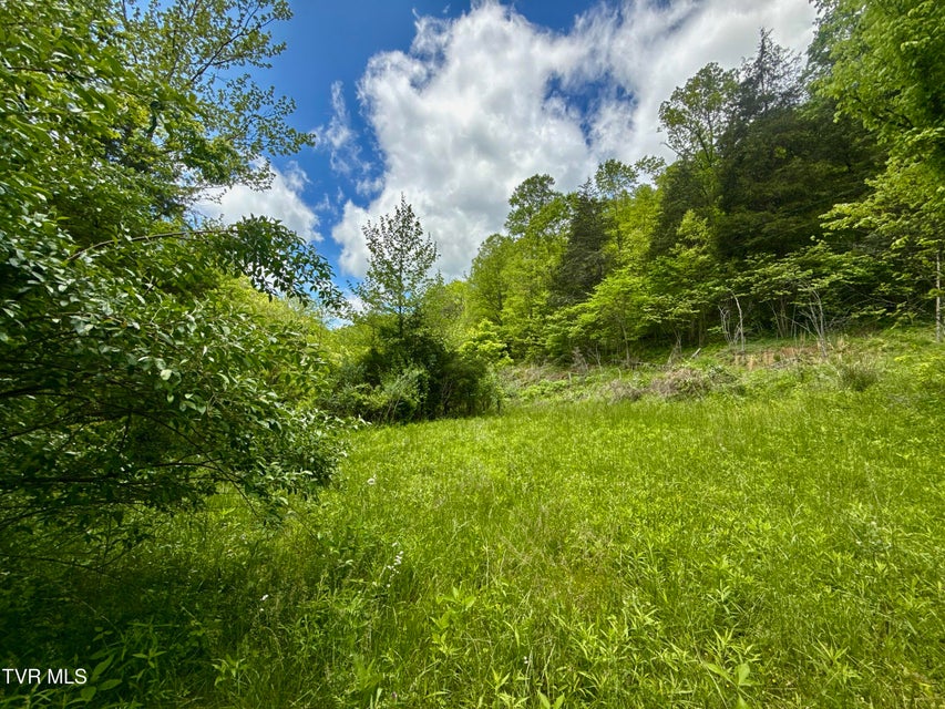 Photo #9: 47/Ac Tbd Enoch Rd