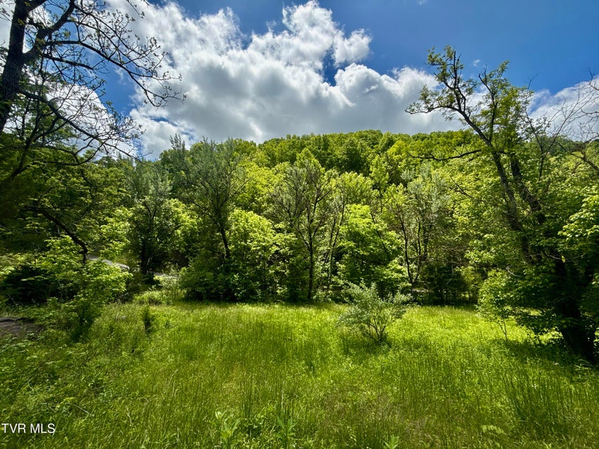 Photo #10: 47/Ac Tbd Enoch Rd