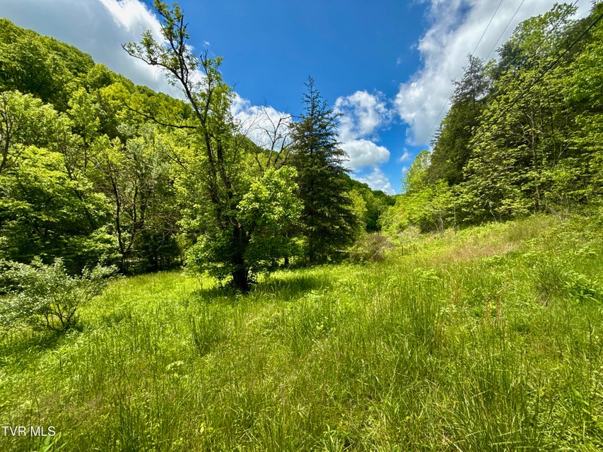 Photo #11: 47/Ac Tbd Enoch Rd