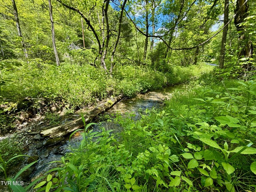 Photo #12: 47/Ac Tbd Enoch Rd