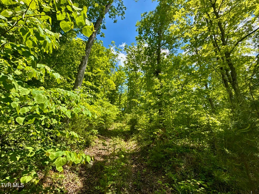 Photo #15: 47/Ac Tbd Enoch Rd