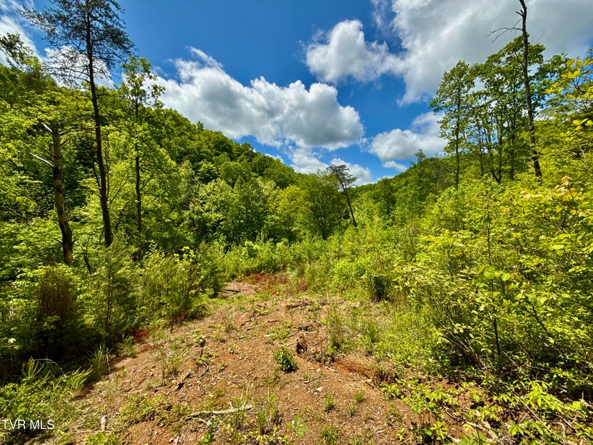 Photo #16: 47/Ac Tbd Enoch Rd