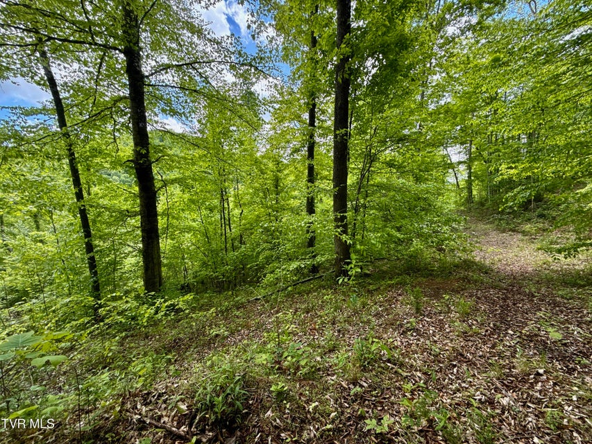 Photo #17: 47/Ac Tbd Enoch Rd