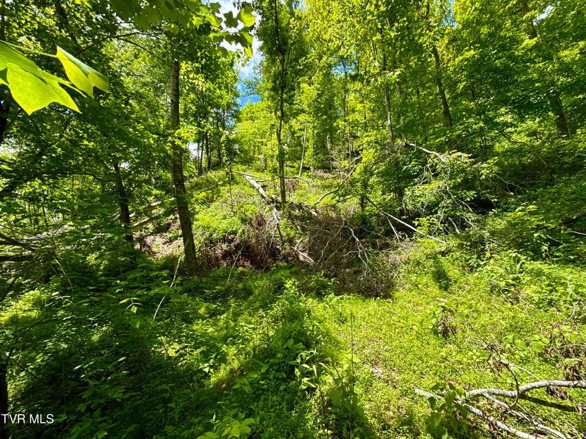 Photo #19: 47/Ac Tbd Enoch Rd
