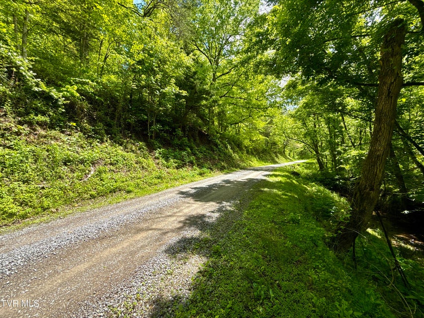 Photo #23: 47/Ac Tbd Enoch Rd