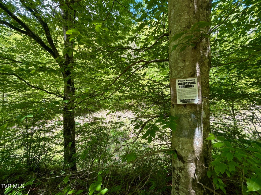 Photo #24: 47/Ac Tbd Enoch Rd