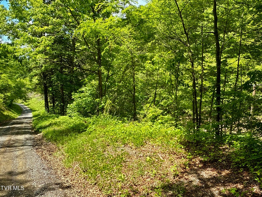 Photo #25: 47/Ac Tbd Enoch Rd