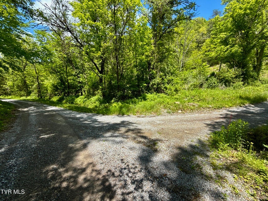 Photo #28: 47/Ac Tbd Enoch Rd