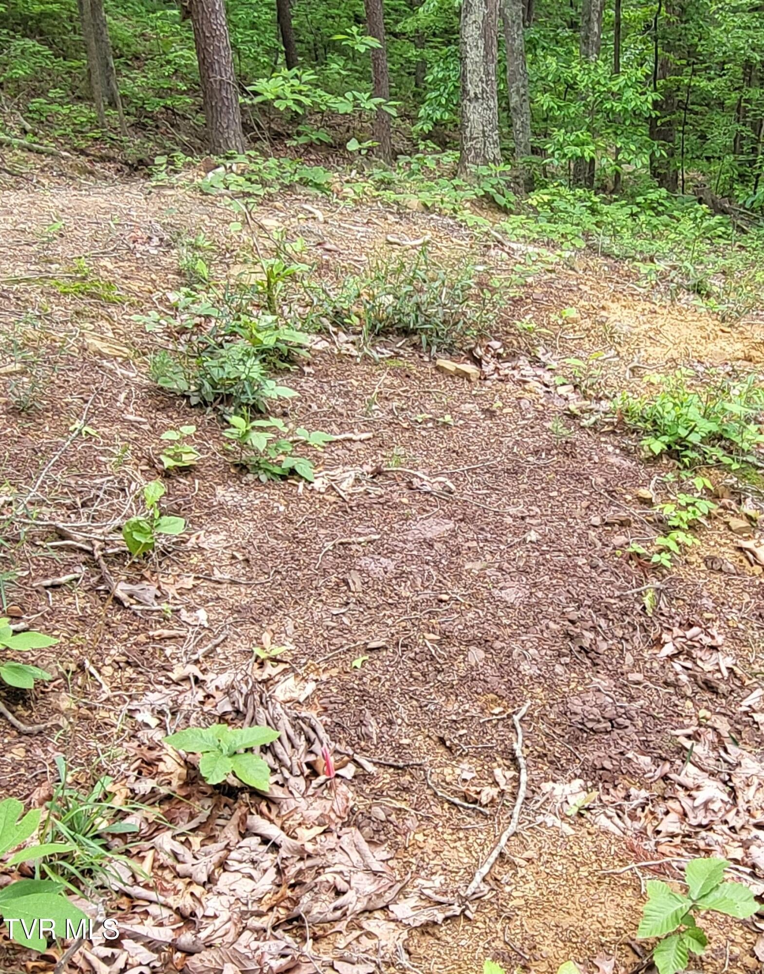 Photo #6: 2065 Dyer Hollow Road