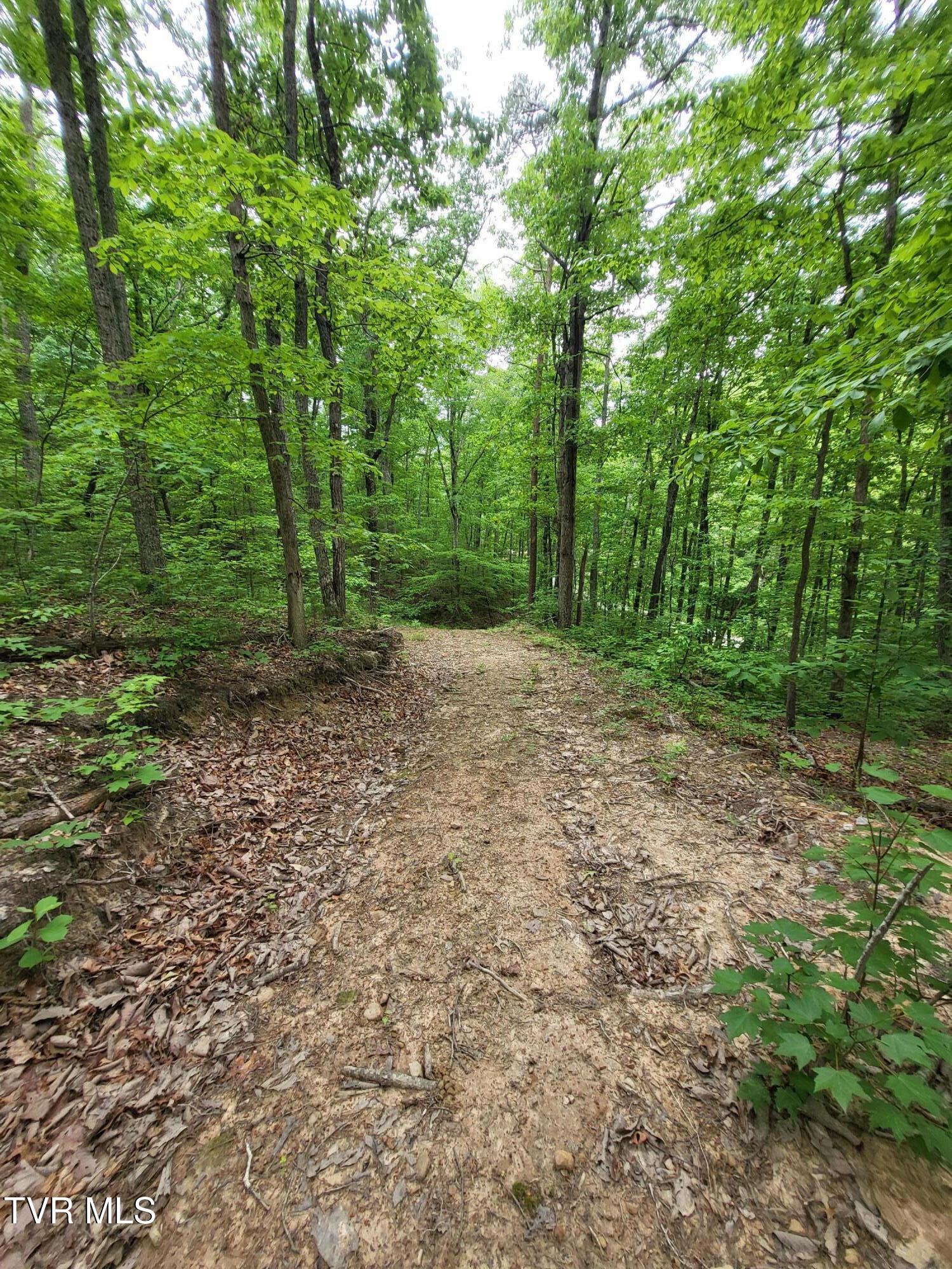 Photo #4: 2065 Dyer Hollow Road