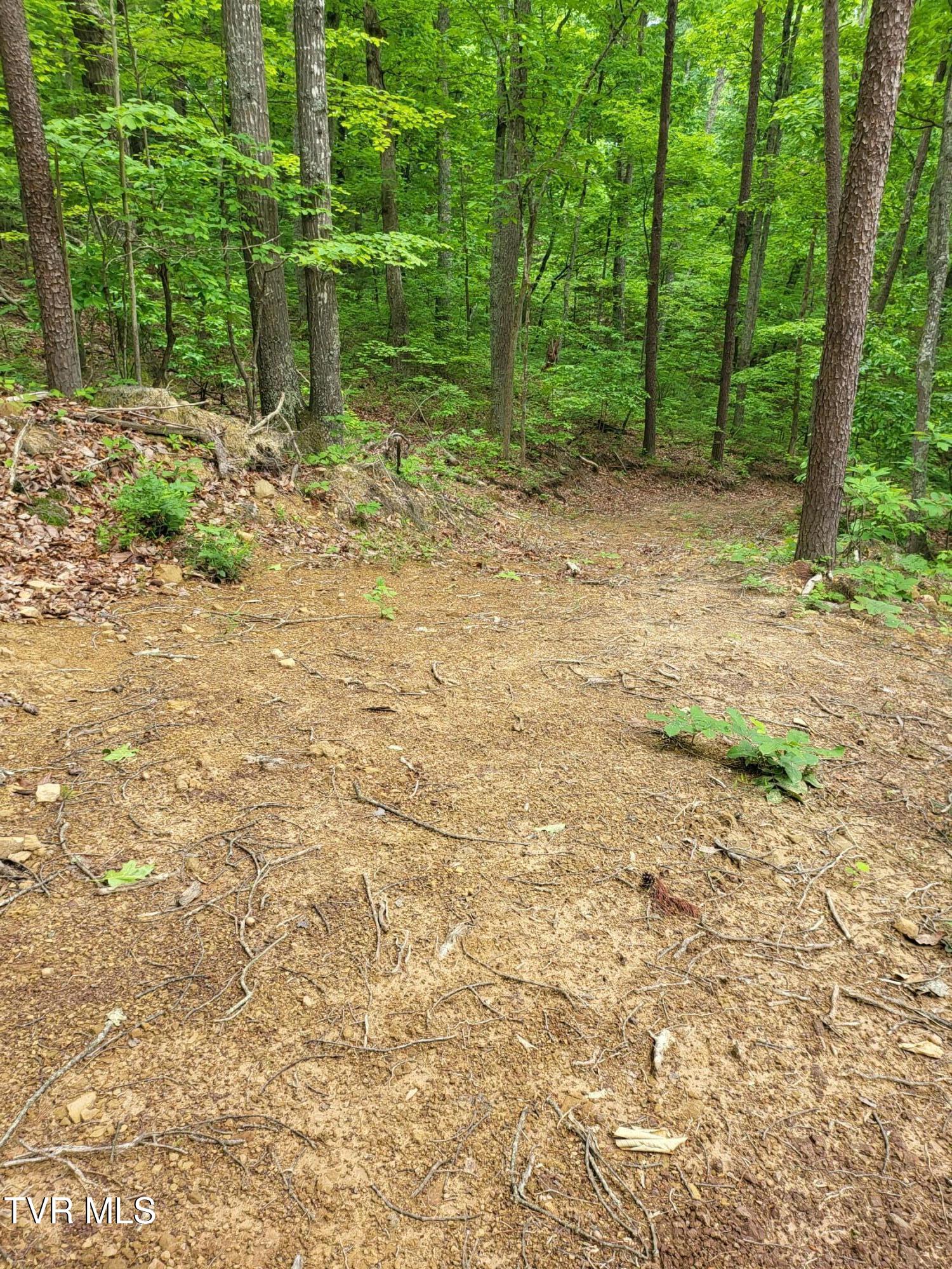 Photo #7: 2065 Dyer Hollow Road