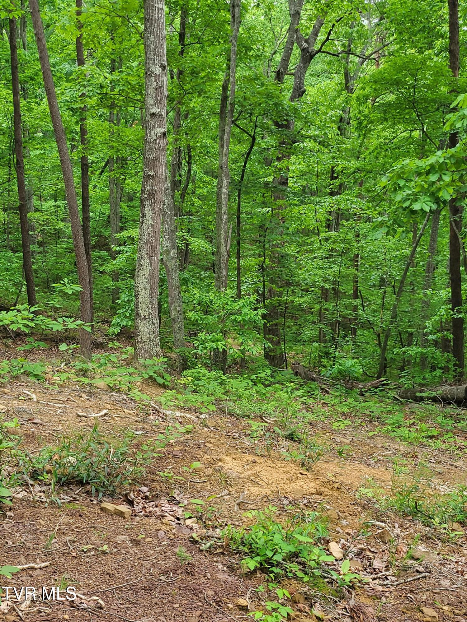 Photo #8: 2065 Dyer Hollow Road