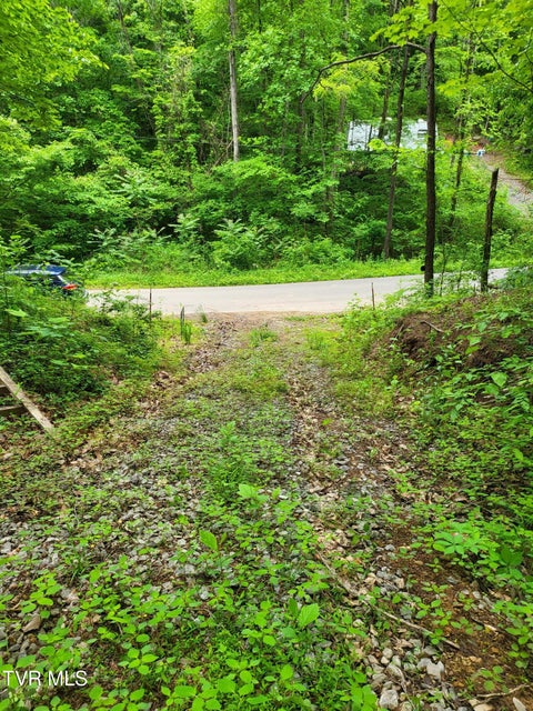 Photo #2: 2065 Dyer Hollow Road