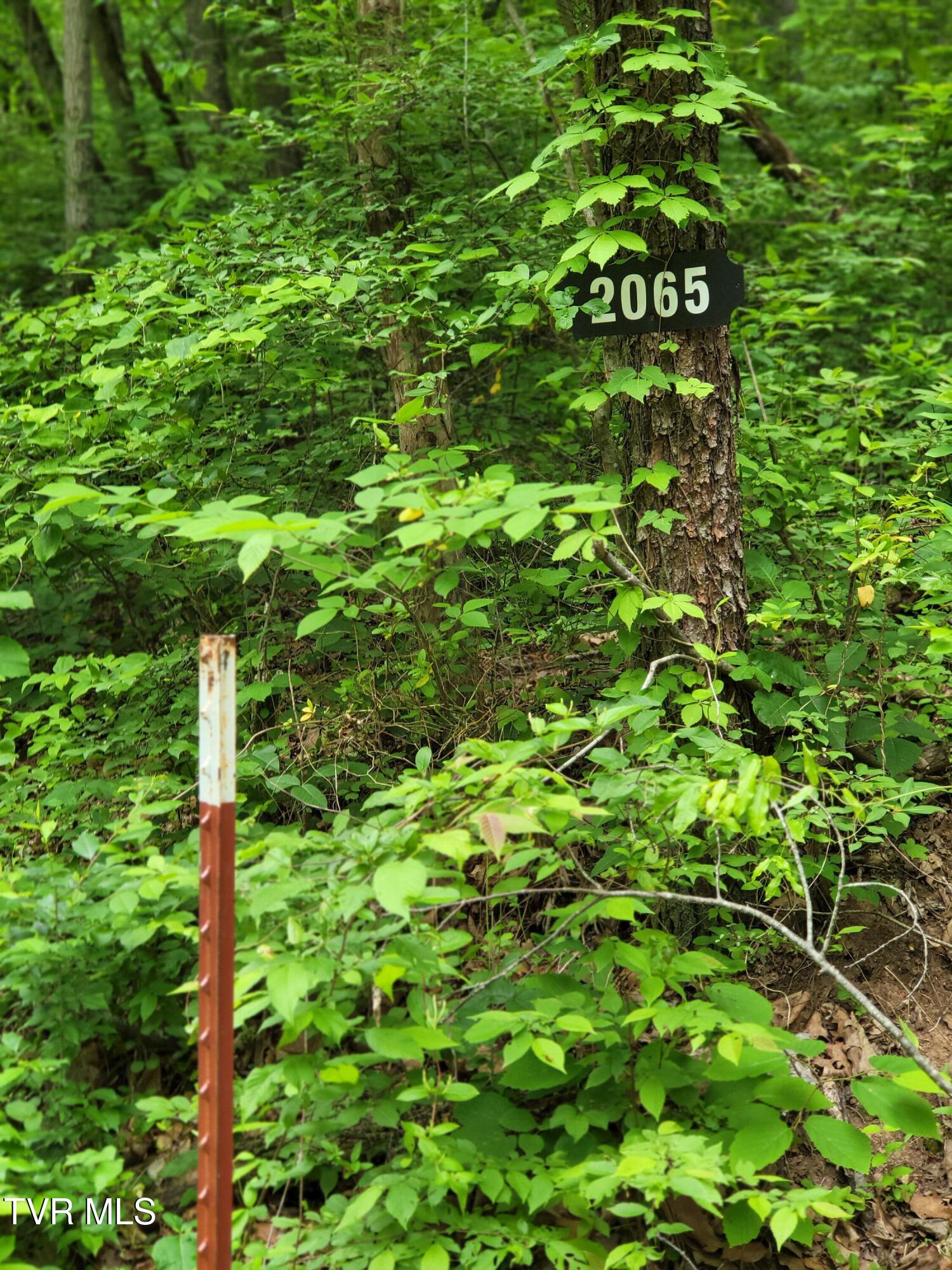 Photo #3: 2065 Dyer Hollow Road
