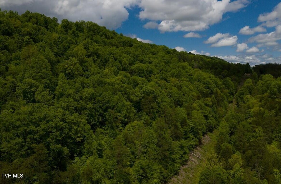 Photo #37: 47/Ac Tbd Enoch Rd
