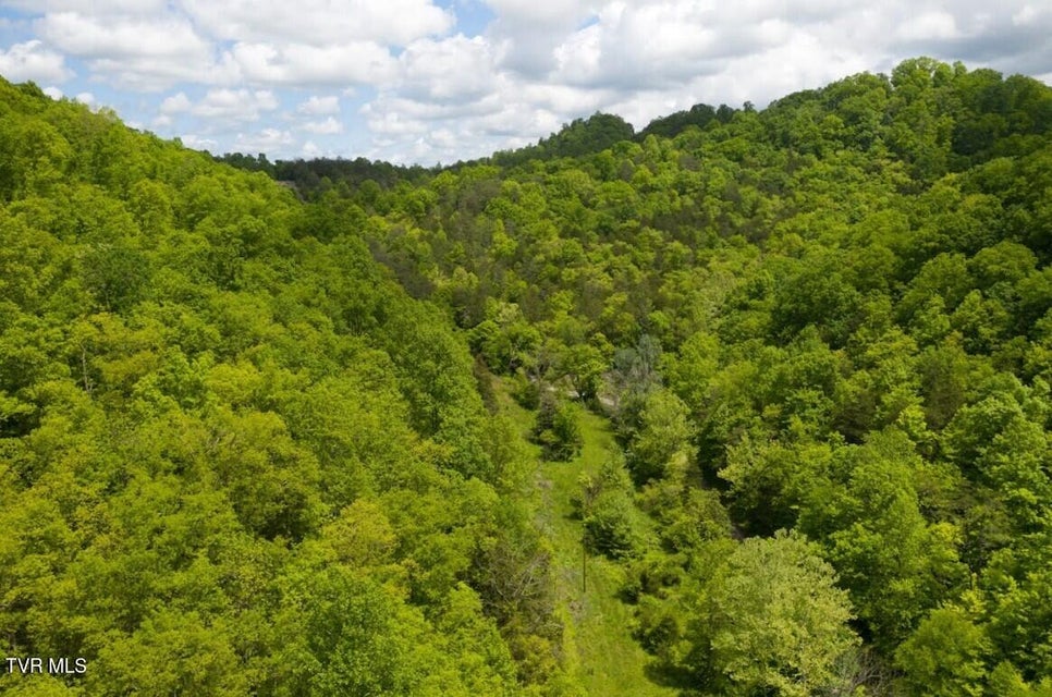 Photo #36: 47/Ac Tbd Enoch Rd