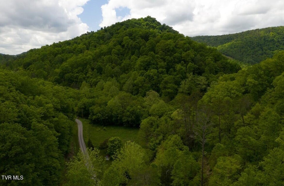 Photo #35: 47/Ac Tbd Enoch Rd