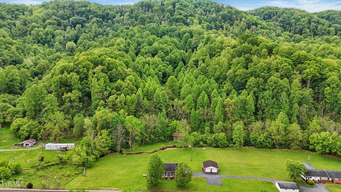 Photo #29: 2153 Daniel Boone Road