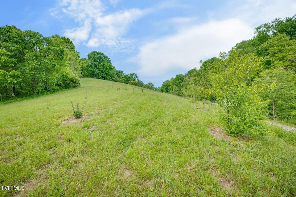 Photo #32: 838 Longs Bend Road