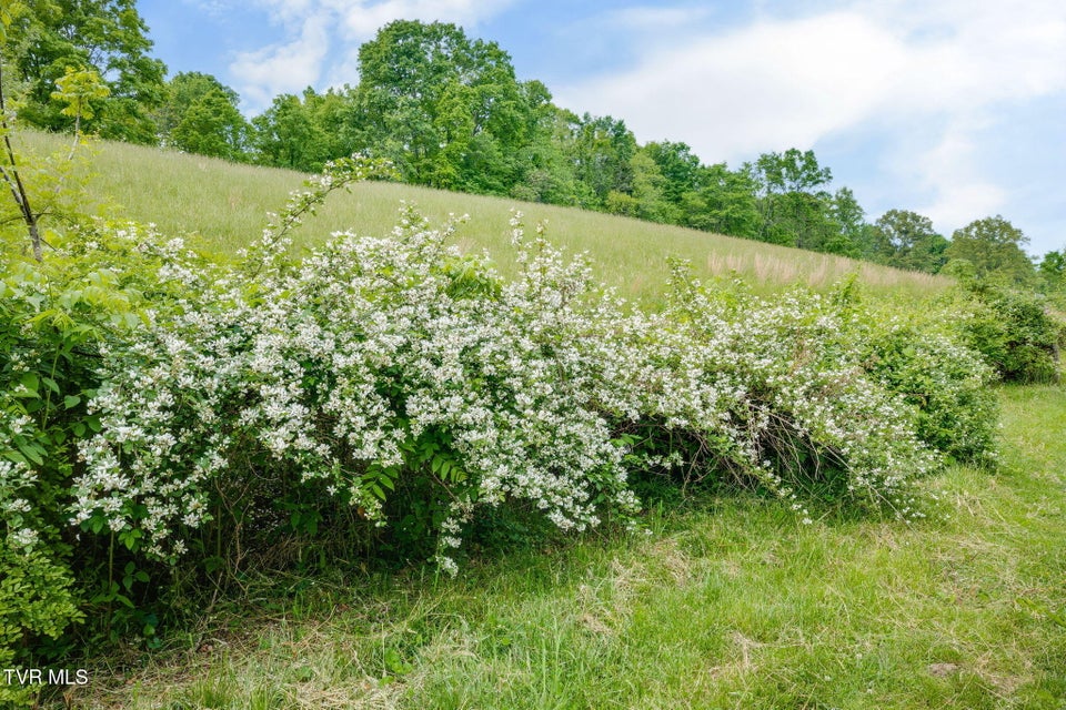 Photo #29: 838 Longs Bend Road