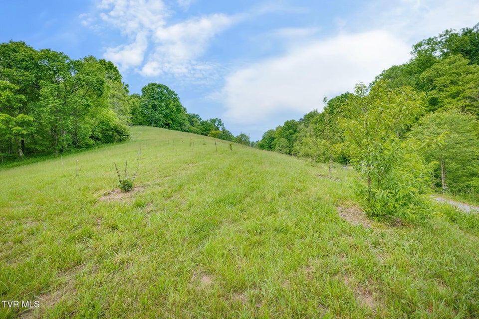 Photo #31: 838 Longs Bend Road