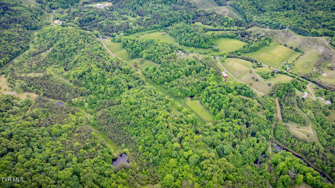 Photo #48: 838 Longs Bend Road