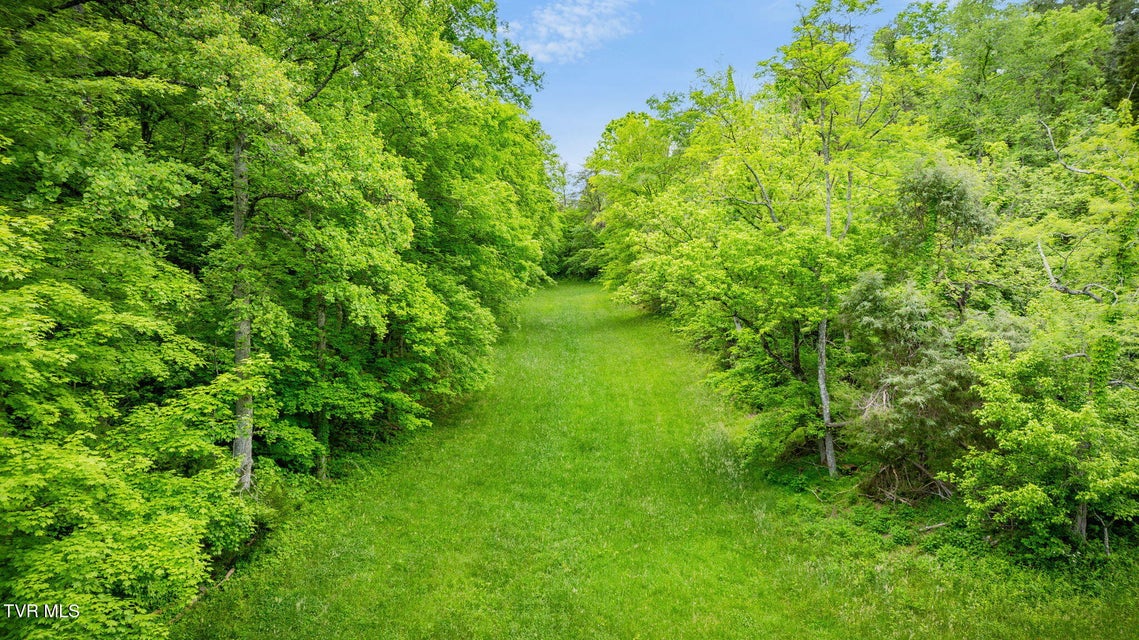 Photo #57: 838 Longs Bend Road