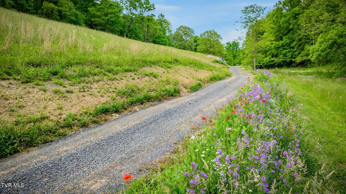 Photo #58: 838 Longs Bend Road
