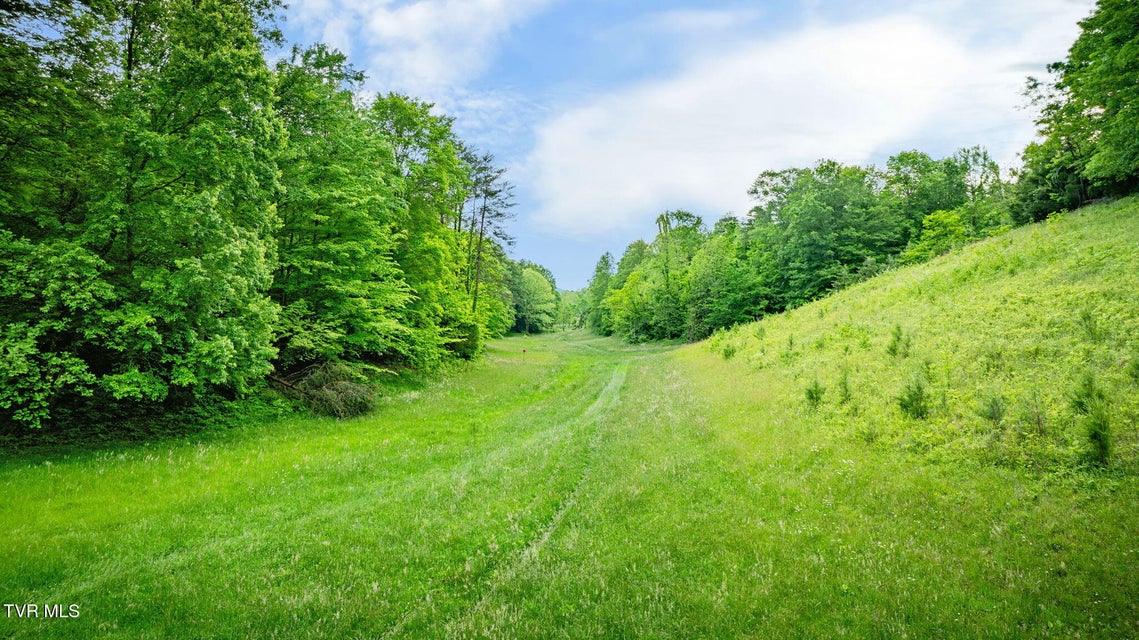 Photo #61: 838 Longs Bend Road