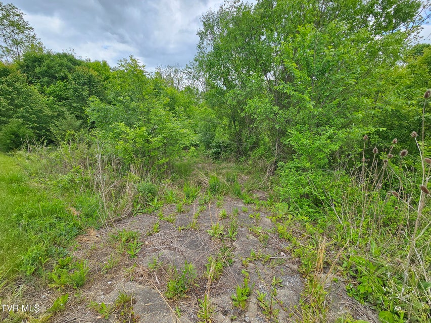 Photo #3: Tbd Fordtown Road